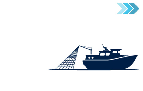 Fishing at Sea
